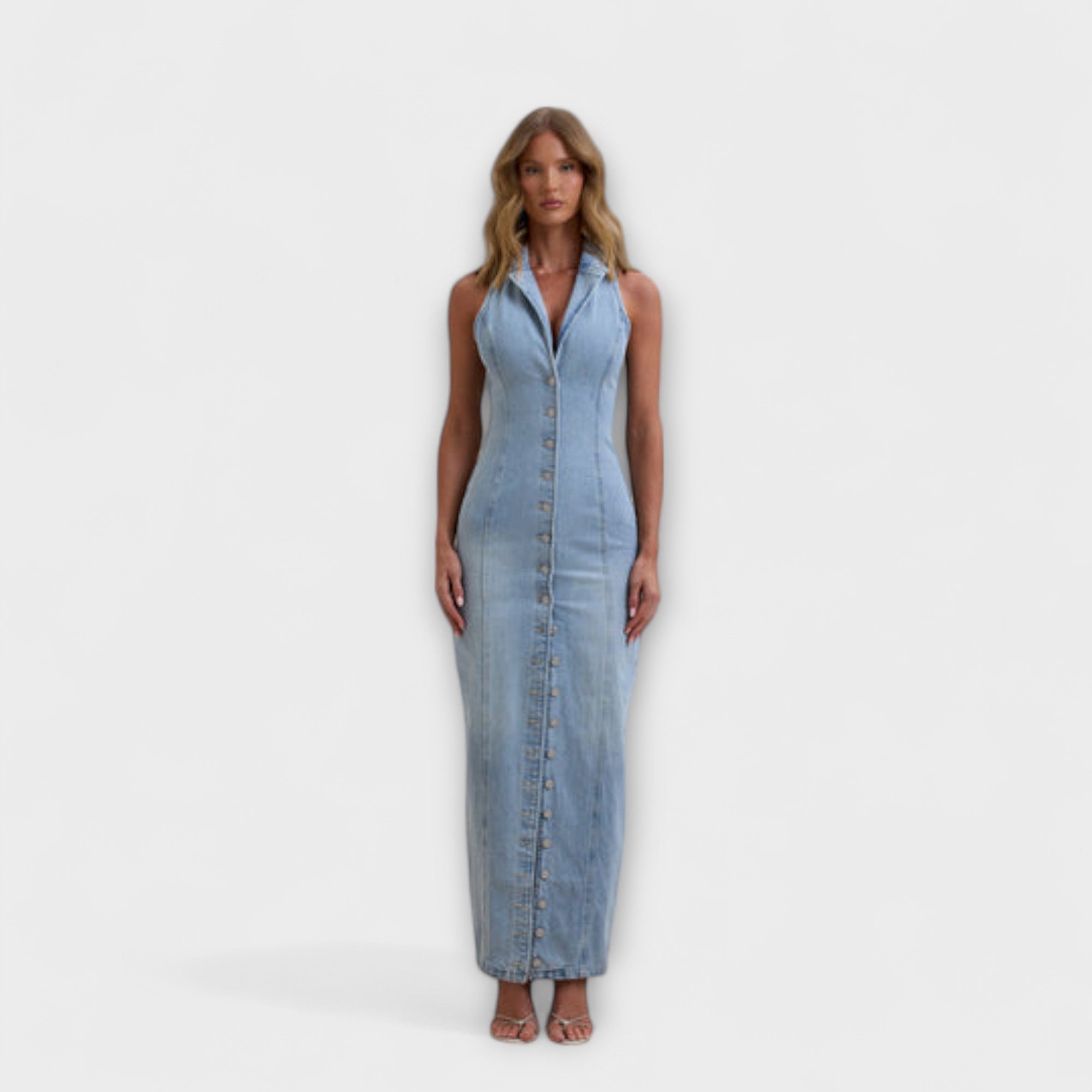 Diabild