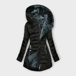Diabild